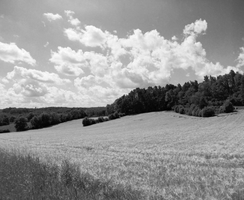 Hochebene bei Lindach, klassische Photografie digitalisiert vom Negativ, 1600 x 1310 px