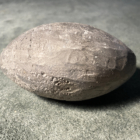 01041984, Bleiguß, 100 x ø 50 mm, 1985