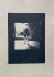 Pflanzen, Kontaktkopie vom sw-Negativ Mittelformat