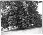 06kl