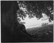 09kl